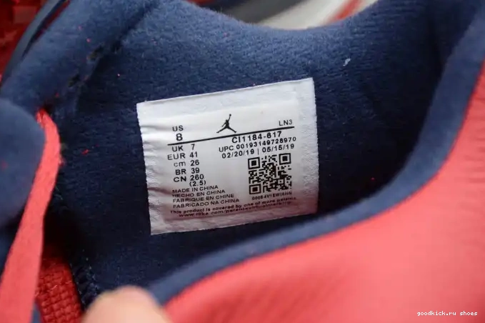 Rep 4 SE Air Jordan CI1184-617 FIBA 0413